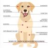 imageKidde UltraSensitive Carbon Monoxide Detector for Pets Health or Medical Conditions Battery Powered with Digital Display UNIT