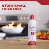 imageKidde Flame Out Fire Fighting Spray 14oz for Home Use Kitchens Dorms Apartments