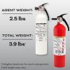 imageKidde Kitchen Fire Extinguishers for Home ampamp Office Use 2 Pack One 1A10BC and One Specialty Kitchen Extinguisher Wall Mount ampamp Strap Brackets IncludedVariety Pack