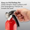 imageKidde Kitchen Fire Extinguishers for Home ampamp Office Use 2 Pack One 1A10BC and One Specialty Kitchen Extinguisher Wall Mount ampamp Strap Brackets IncludedVariety Pack