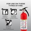 imageKidde Kitchen Fire Extinguishers for Home ampamp Office Use 2 Pack One 1A10BC and One Specialty Kitchen Extinguisher Wall Mount ampamp Strap Brackets IncludedVariety Pack