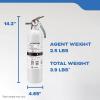imageKidde Mariner 10 Marine Fire Extinguisher for Boats ampamp Watercrafts 10BC 4 Lbs Coast Guard Approved Strap Bracket Included WhiteMAR10