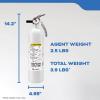 imageKidde Mariner 10 Marine Fire Extinguisher for Boats ampamp Watercrafts 10BC 4 Lbs Coast Guard Approved Strap Bracket Included WhiteMAR110