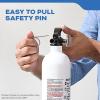 imageKidde Mariner 10 Marine Fire Extinguisher for Boats ampamp Watercrafts 10BC 4 Lbs Coast Guard Approved Strap Bracket Included WhiteMAR110