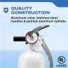 imageKidde Mariner 10 Marine Fire Extinguisher for Boats ampamp Watercrafts 10BC 4 Lbs Coast Guard Approved Strap Bracket Included WhiteMAR110