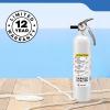 imageKidde Mariner 10 Marine Fire Extinguisher for Boats ampamp Watercrafts 10BC 4 Lbs Coast Guard Approved Strap Bracket Included WhiteMAR110