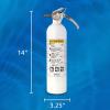 imageKidde Mariner 10 Marine Fire Extinguisher for Boats ampamp Watercrafts 10BC 4 Lbs Coast Guard Approved Strap Bracket Included WhiteMAR110