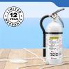 imageKidde Mariner 10 Marine Fire Extinguisher for Boats ampamp Watercrafts 10BC 4 Lbs Coast Guard Approved Strap Bracket Included WhiteMAR210