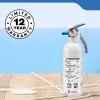 imageKidde Mariner 10 Marine Fire Extinguisher for Boats ampamp Watercrafts 10BC 4 Lbs Coast Guard Approved Strap Bracket Included WhiteMAR5