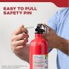 imageKidde Mariner 10 Marine Fire Extinguisher for Boats ampamp Watercrafts 10BC 4 Lbs Coast Guard Approved Strap Bracket Included WhitePWC