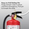 imageKidde Pro 210 2A10BC Fire Extinguisher Rechargeable MultiPurpose for Home ampamp Office 4 lbs Mounting Bracket Included  Red1 Pack