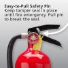 imageKidde Pro 210 2A10BC Fire Extinguisher Rechargeable MultiPurpose for Home ampamp Office 4 lbs Mounting Bracket Included  Red1 Pack