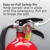 imageKidde Pro 210 2A10BC Fire Extinguisher Rechargeable MultiPurpose for Home ampamp Office 4 lbs Mounting Bracket Included  Red2 Pack